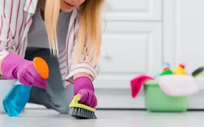 Transforming Homes with Expert Interior Cleaning Services